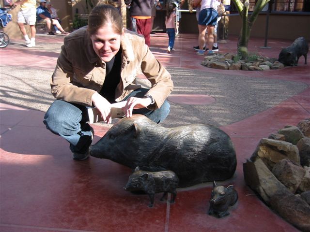 Arizona 023